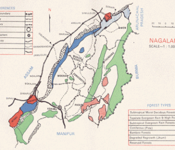 forest types of nagaland