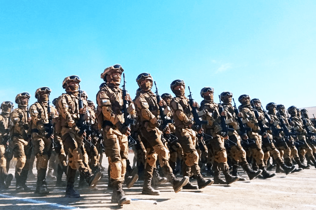 nagaland-police-special-task-force-stf