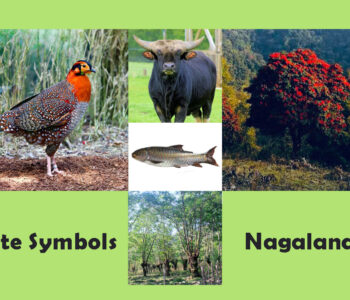 State-Symbols-of-Nagaland